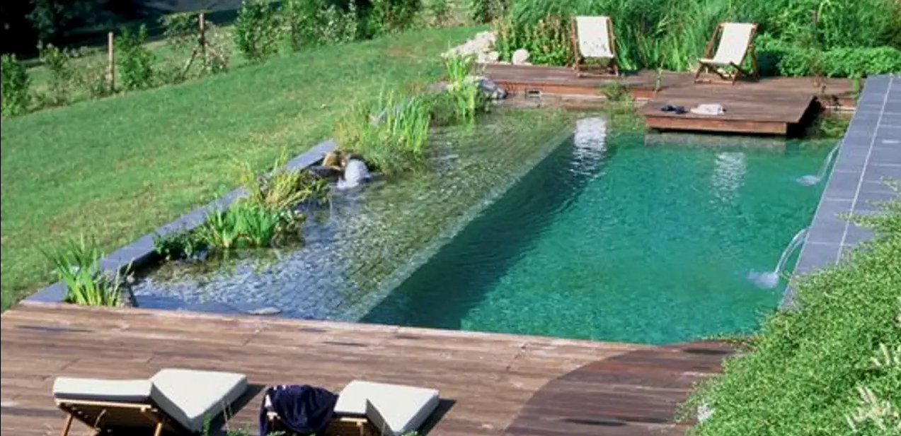 Zelf Een Zwembad Bouwen - Biozwembad met plantenzone
