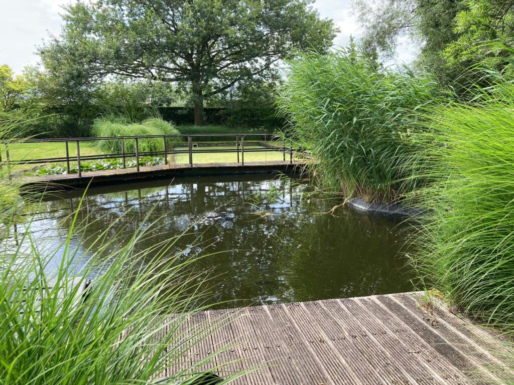 Bij het overwegen van een eigen zwempartij in je tuin, komt de vraag vaak neer op de keuze tussen een traditioneel zwembad en een natuurlijke zwemvijver.